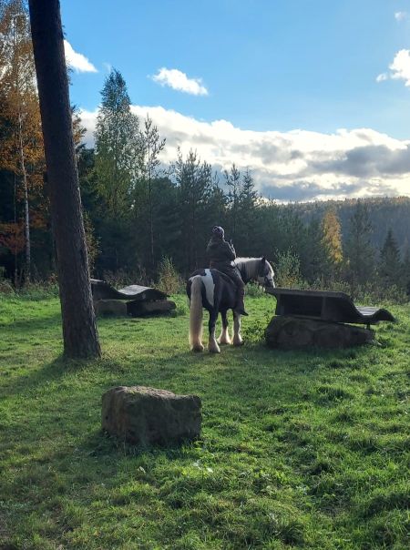 2023 11 November 578